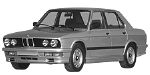BMW E28 P2423 Fault Code